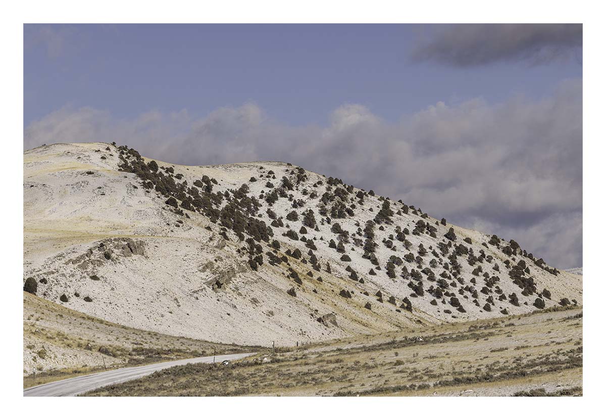 National Elk Refuge
